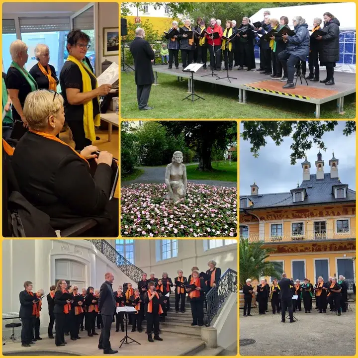 Collage mit Konzerten 2024