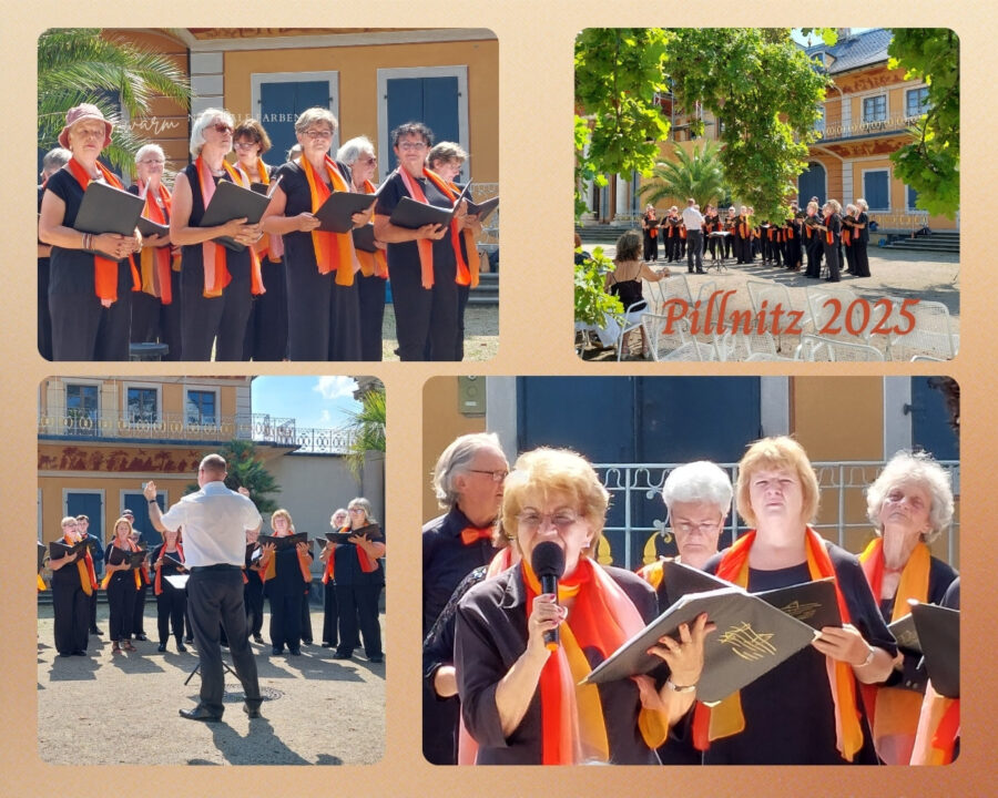Jahresrückblick 2025 Traditioneller Auftritt im Schlosspark Pillnitz