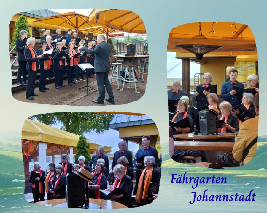 Jahresrückblick 2025 Auftritt im Fährgarten Johannstadt