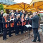 Konzert im Fährgarten Johannstadt